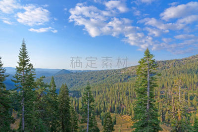 风景,森林,戴蒙德峰,拉森山,磨脚石,黄铁矿,硫磺,间歇泉,地狱,水