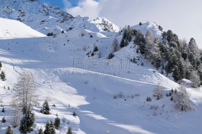 滑雪坡,山,阿尔卑斯山脉,意大利,水平画幅,雪,无人,滑雪运动,户外,高处