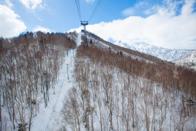 层云峡,大雪山国家公园,云,山,冬天,地形,日本,森林,松树
