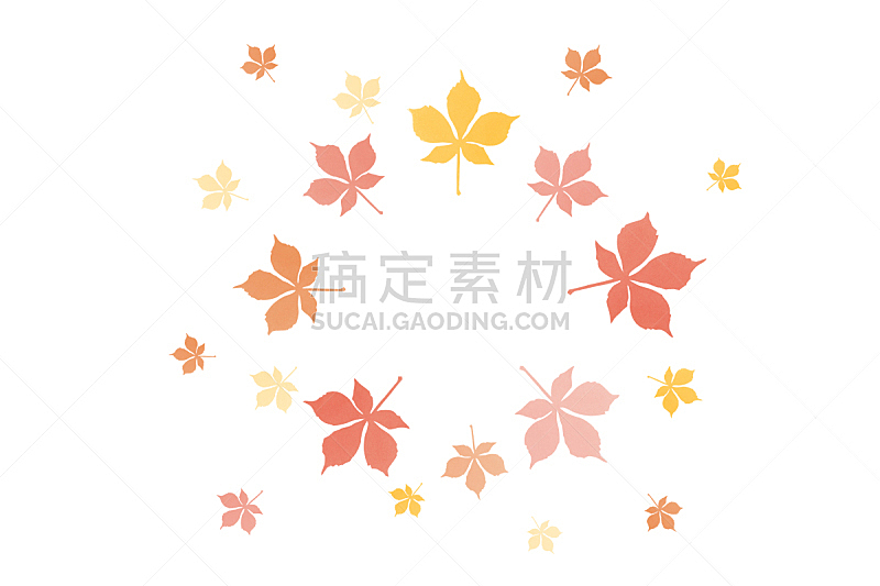 叶子,秋天,圆形,边框,留白,褐色,水平画幅,九月,干的,特写