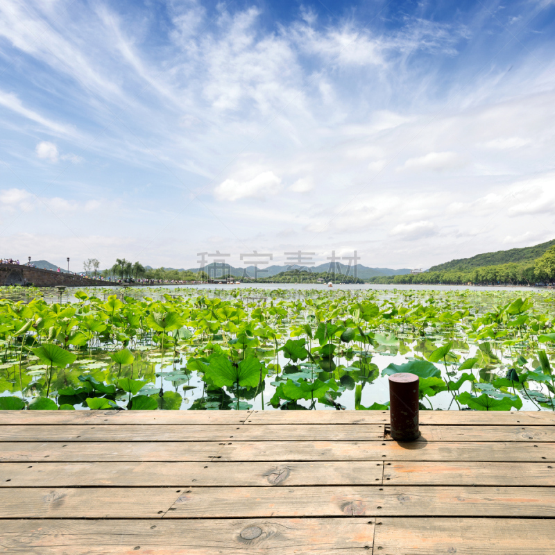 杭州,风景,西湖,天空,美,公园,荷花,无人,夏天,户外