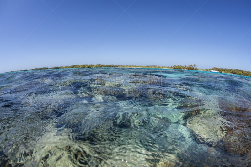 礁石,多色的,加勒比海地区,蓝孔,海洋酸化,珊瑚礁,小生镜,度假胜地,水平画幅