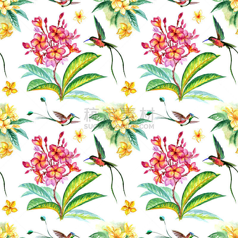 四方连续纹样,赤素馨花,蜂鸟,可爱的,纹理效果,水彩画颜料,纺织品,鸟类,装饰物,植物