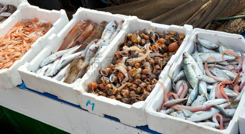 海港,待售,鱼肉,水平画幅,开胃品,海产,户外,鼻涕虫,聚苯乙烯,海洋