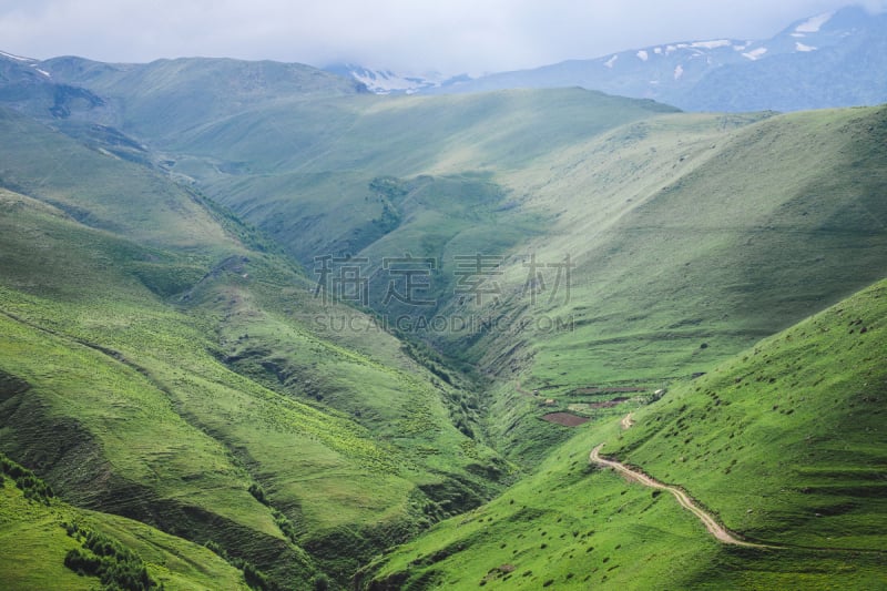 雾,绿山国家森林公园,云,草,背景,夏天,户外,天空,高处,草地