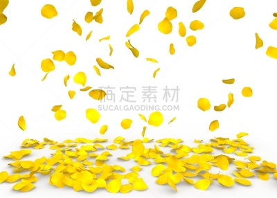 玫瑰花瓣,室内地面,自然,美,贺卡,式样,水平画幅,浪漫,背景分离,俄罗斯