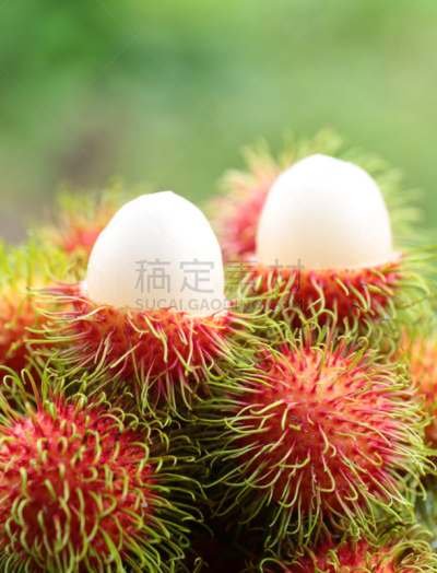 红毛丹,垂直画幅,素食,无人,湿,时间,特写,泰国,彩色图片,多毛的