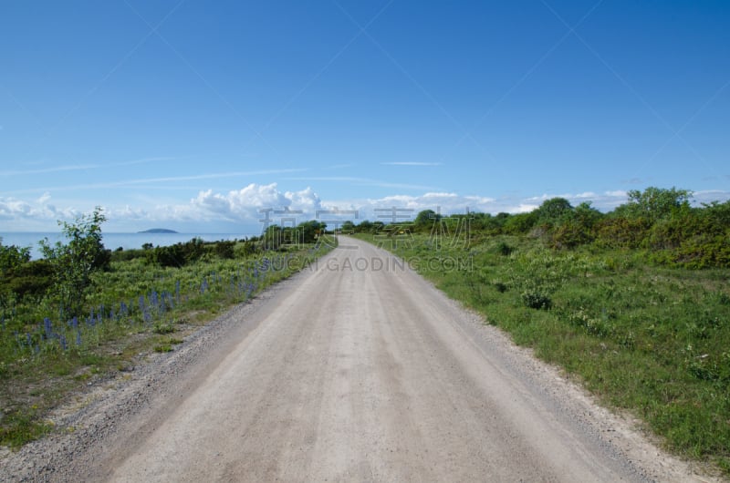 路,海岸线,沙砾,牛舌草,奥兰,下龙湾,水,天空,水平画幅,无人