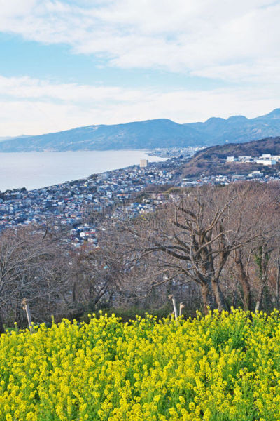 scenery from azumayamakouen
吾妻山公园からの风景