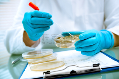 皮氏培养皿,不卫生的,盘子,留白,科学实验,实验室,职业安全与健康,真菌,技术,细胞