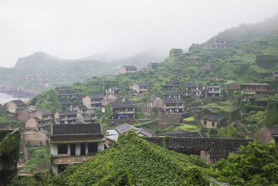 乡村,有蔓植物,舟山,浙江省,自然,宁静,水平画幅,攀缘植物,无人,建筑外部