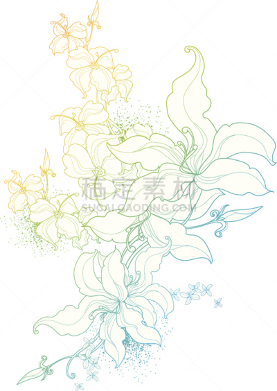 矢量,背景,萱草,绘画插图,艺术,形状,无人,计算机制图,计算机图形学,百合花