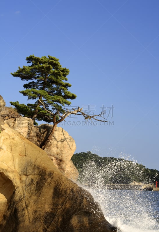 松岛,垂直画幅,天空,里山,度假胜地,休闲活动,无人,夏天,户外,石头