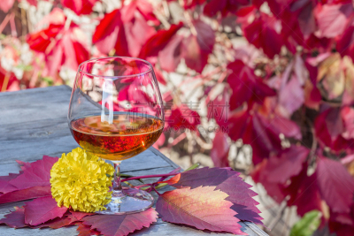 白兰地酒杯,白兰地,仅一朵花,家庭花园,桌子,水平画幅,无人,玻璃,玻璃杯,布兰蒂诺维德