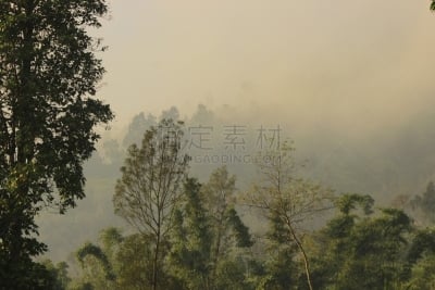日惹特区,墨拉皮火山,印度尼西亚,爪哇,旅游目的地,水平画幅,中爪哇省,无人,早晨,山脉