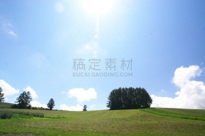 美瑛町,天空,美,留白,水平画幅,云,山,荞麦,夏天,户外