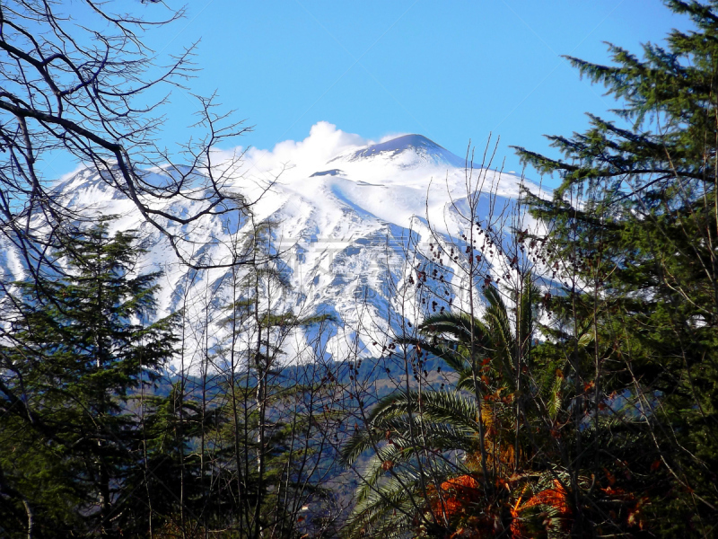 埃特纳火山,别墅,布希曼族,西西里,水平画幅,雪,无人,户外,游乐场,火山