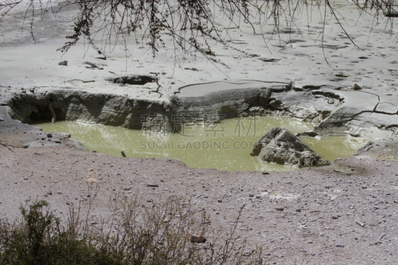 罗托鲁阿,新西兰,一只动物,部分,水,水平画幅,lake tarawera,无人,火山地形,户外