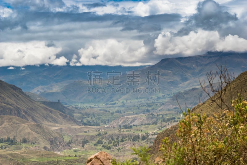 秃鹰,科尔卡峡谷,山脉,火山,大于号,南美,古代文明,拉美人和西班牙裔人,水平画幅,高视角