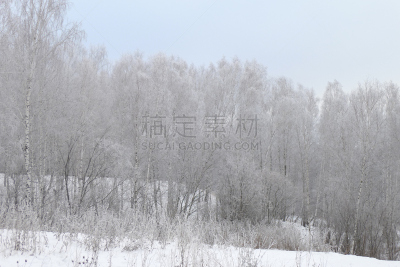 西伯利亚,森林,自然,天空,寒冷,水平画幅,地形,雪,无人,蓝色