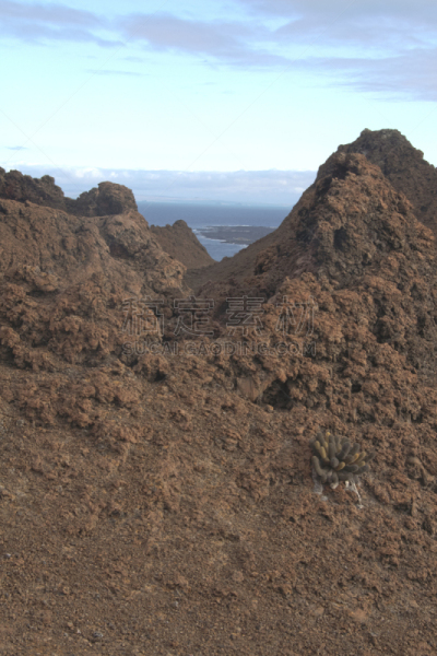 巴佗罗密群岛,火山渣锥,加拉帕戈斯群岛,地质学,火山,岩浆仙人掌,自然,垂直画幅,留白,厄瓜多尔