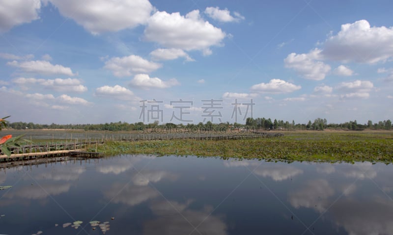 木制,泰国,桥,水坝,玛哈沙拉堪,长的,查济,旅行者,田园风光,户外