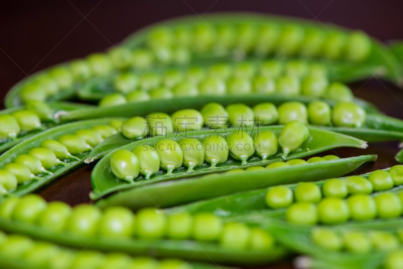 甜碗豆,纤维光学,水平画幅,无人,生食,纤维,开着的,豆,豆荚,清新