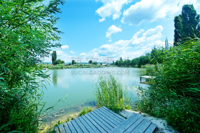 lake