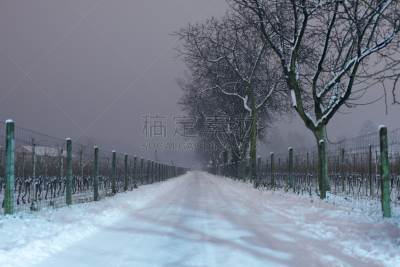 路,冬天,阿斯科纳,提契诺州,自然,寒冷,水平画幅,夜晚,雪,无人