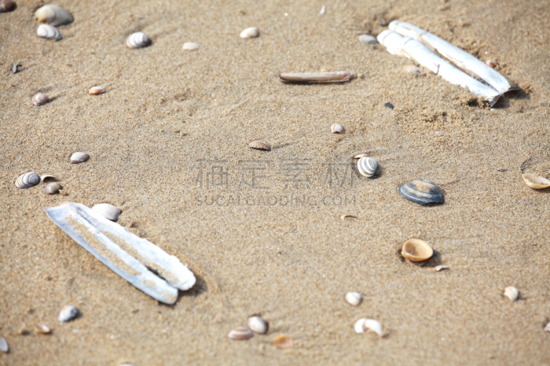 海岸线,荷兰,斯海弗宁恩,度假胜地,德国北海地区,水平画幅,沙子,无人,户外,海洋