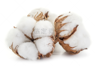 毛绒绒,化妆棉球,棉花,白色背景,球,水平画幅,纺织品,无人,取钉器,纤维