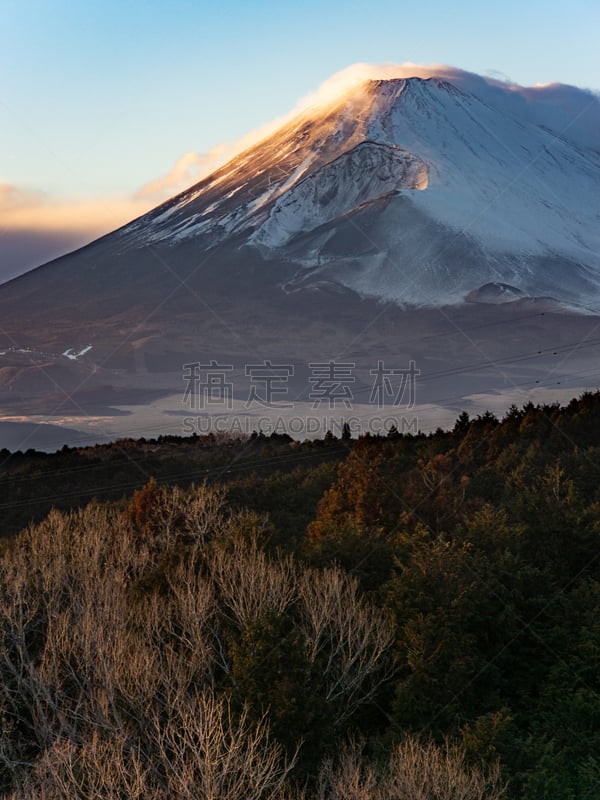 空中走廊,自然,垂直画幅,风景,图像,海洋,日光,无人,里山,吊桥