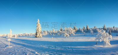 大风雪,芬兰,冬天,全景,萨利色尔卡,冻结的,拉普兰,环境,霜,雪