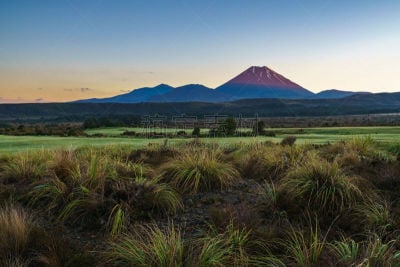 火山,新西兰,瑙鲁赫伊山,松果,美,水平画幅,无人,草坪,草,非凡的