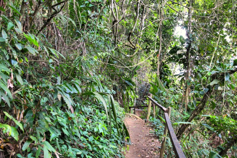 雨林,巴西,自然,南美,水平画幅,地形,山,无人,三位一体,大西洋