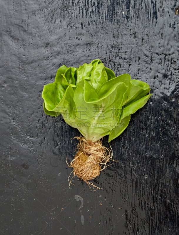 绿色,蔬菜叶,red oak leaf lettuce,垂直画幅,食品杂货,素食,无人,超级市场,生食,维生素