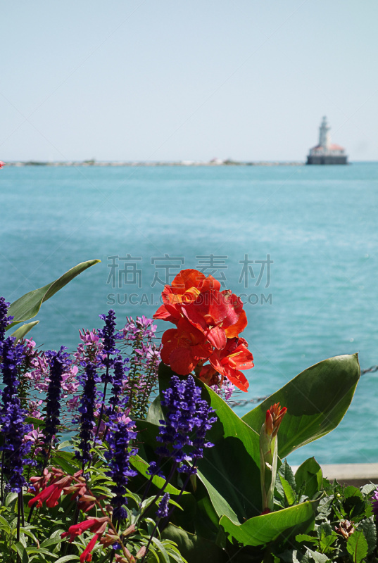 芝加哥市,伊利诺斯州,建筑外部,垂直画幅,图像,美国,著名景点,北美,旅游目的地