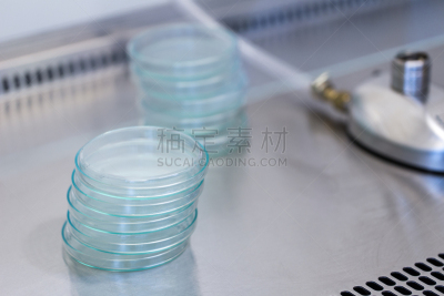 微生物学,实验室,生物科技,水平画幅,科学实验,科学,生物学,泰国,凌乱