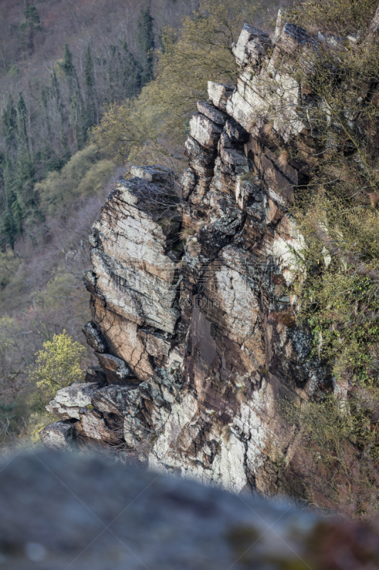 莱茵兰-普法尔茨州,岩石,德国,风景,圣高尔郝善,莱茵河,垂直画幅,旅游目的地,无人,欧洲