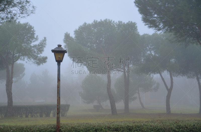自然,照明设备,数字1,瓦拉杜利德,草,松树,河流,背景,完美,欧洲