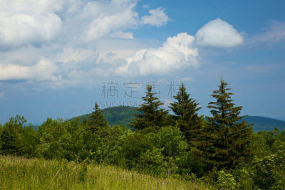 地形,山,莫农加希拉国家森林,西弗吉尼亚,阔叶树,自然,水平画幅,无人,夏天,户外