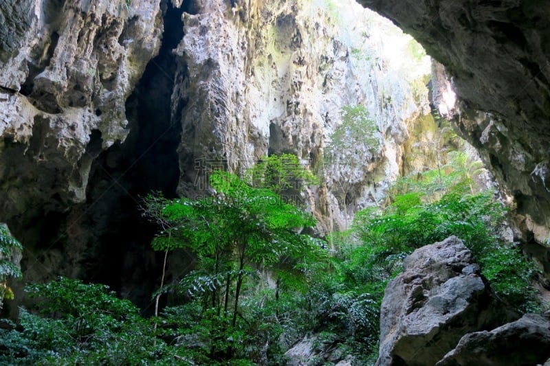 洞穴,森林,洞穴学,国家公园,洞,水平画幅,枝繁叶茂,山,无人,泰国