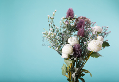 花束,自然美,背景,轻的,野生植物,美,水香花菜,芳香的,水平画幅,无人