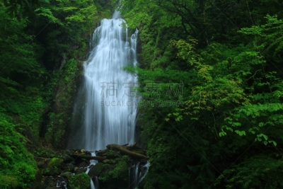 夏天,山谷,水,水平画幅,山,瀑布,无人,户外,植物,秋田县