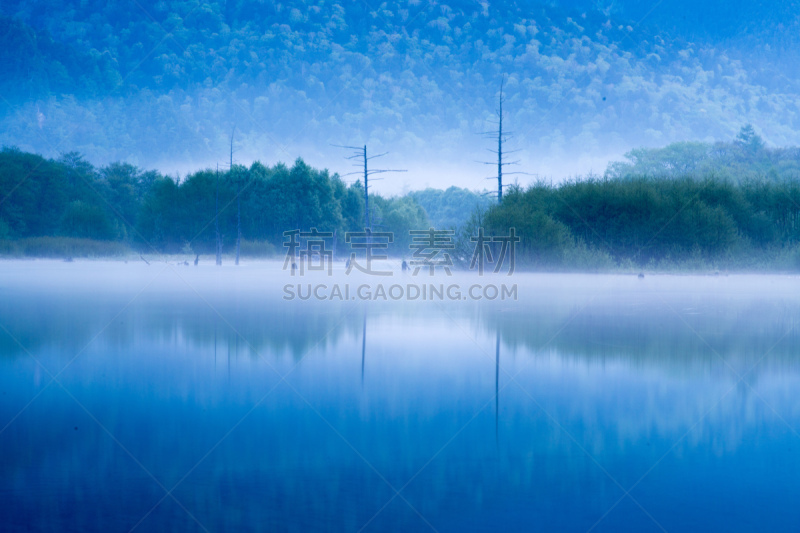 上高地国家公园,长野县,日本,春天,飞驒山脉,自然,度假胜地,水平画幅,枝繁叶茂,无人
