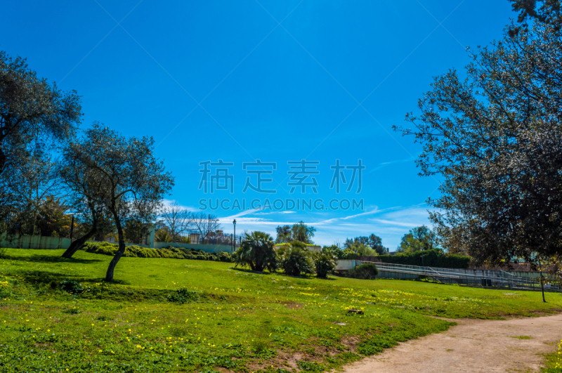 太阳,白昼,萨萨里,派克大街,天空,水平画幅,旅行者,夏天,户外,草
