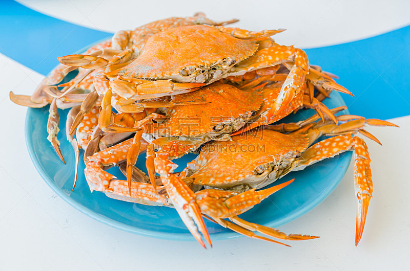 螃蟹,煮食,水平画幅,蓝色,膳食,海产,高级西餐,海洋,红色,餐馆