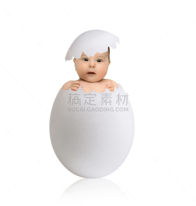 小的,小鸡,垂直画幅,车背,家禽,鸟类,仅婴儿,俄罗斯,船体,白色