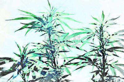 绘画插图,水彩画,农业,健康保健,水彩画颜料,药,癌症,自制的,艺术品,草本园