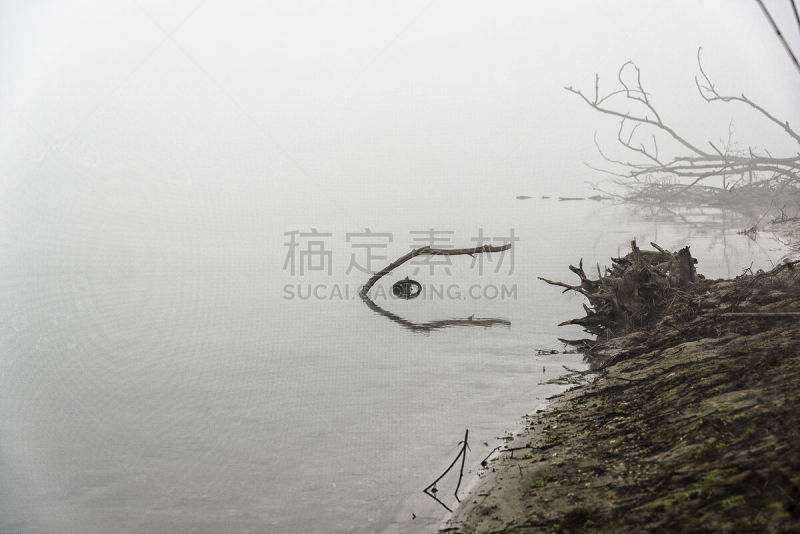 冬天,河流,提契诺州,地形,水,水平画幅,沙子,早晨,户外,树林